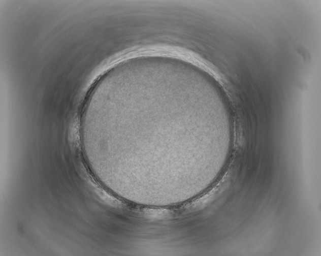 X0000110771498200907271153