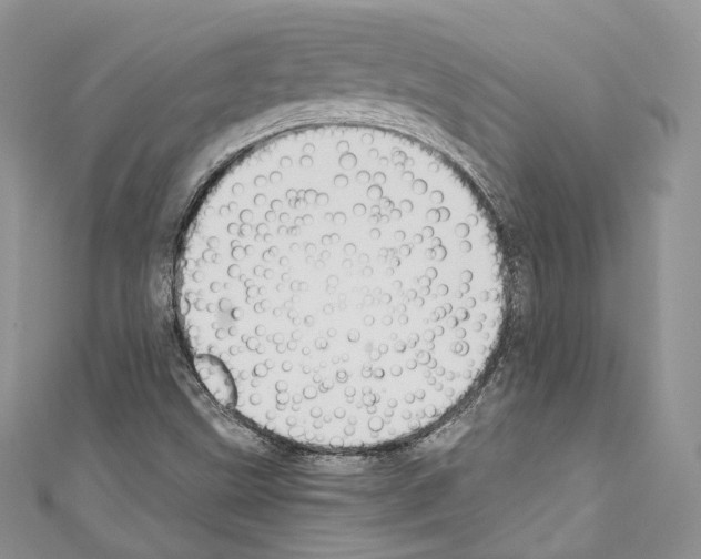 X0000110771499200907271153