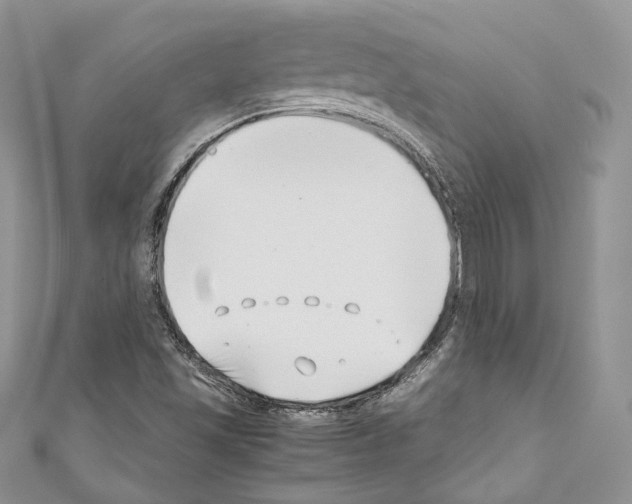 X0000110771501200907271153