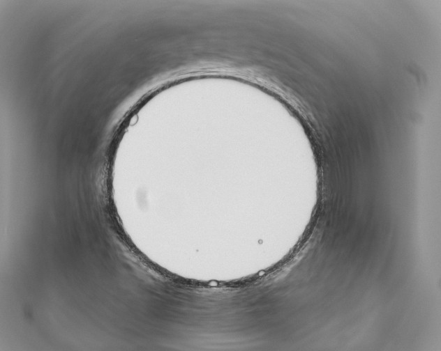 X0000110771502200907271153