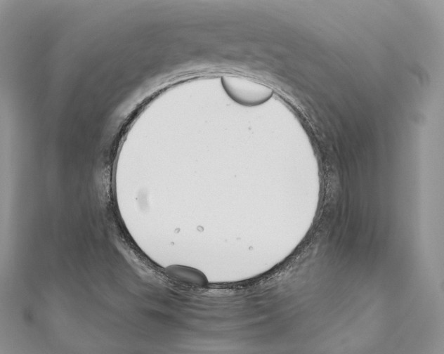 X0000110771503200907271153