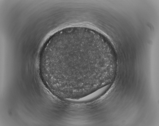 X0000110771506200907271153