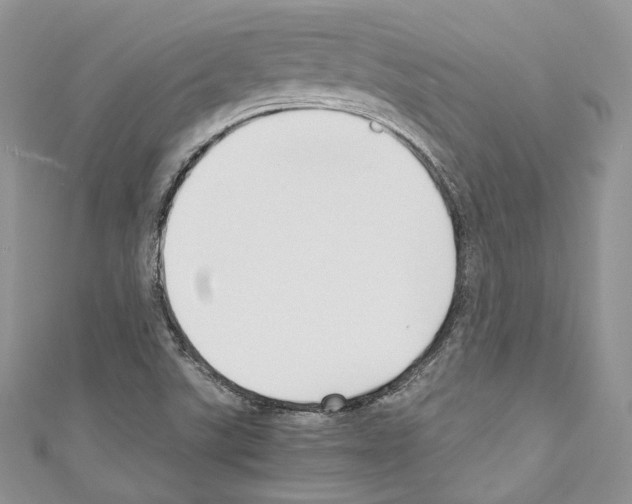 X0000110771507200907271153