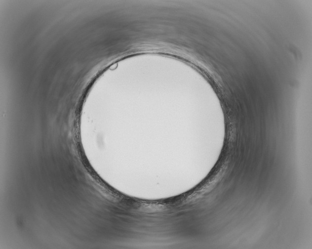 X0000110771509200907271153