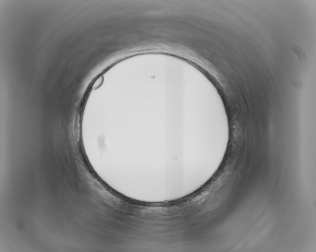 X0000110771510200907271153