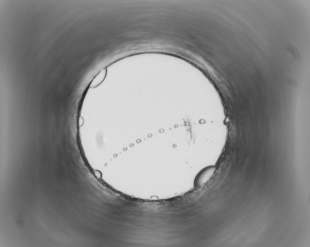 X0000110771512200907271153