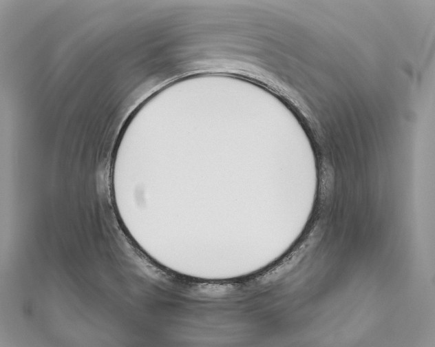 X0000110771513200907271153