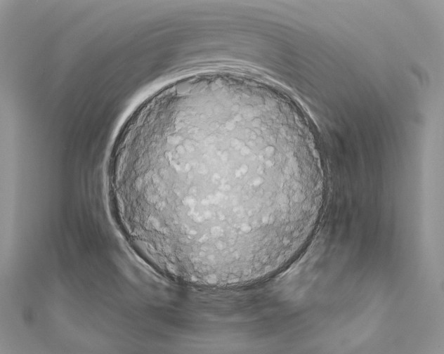 X0000110771514200907271153