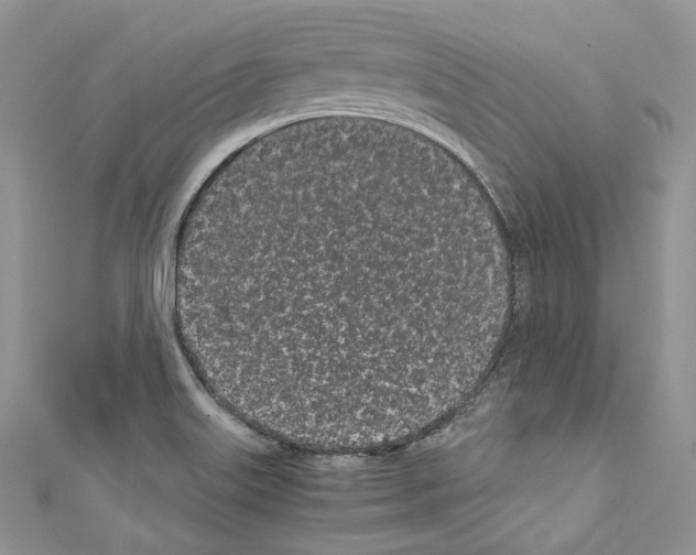 X0000110771515200907271153