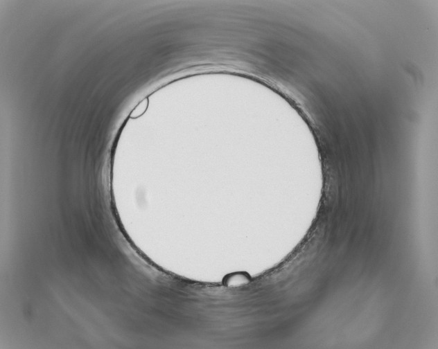 X0000110771516200907271153