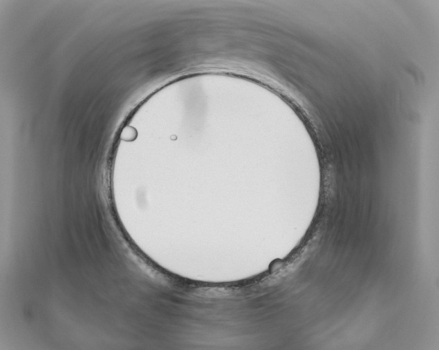 X0000110771517200907271153