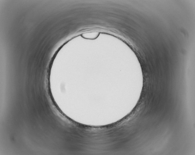 X0000110771518200907271153