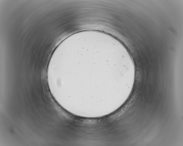 X0000110771521200907271153