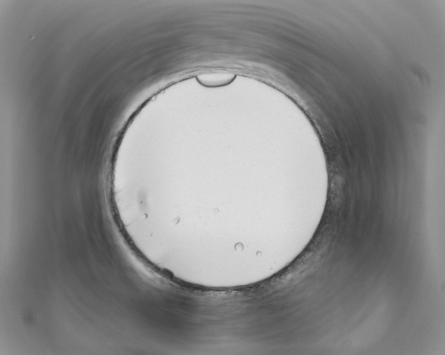 X0000110771523200907271153