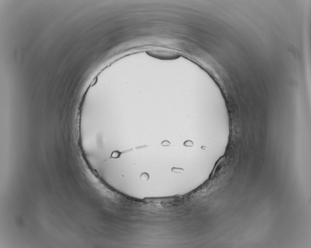 X0000110771524200907271153