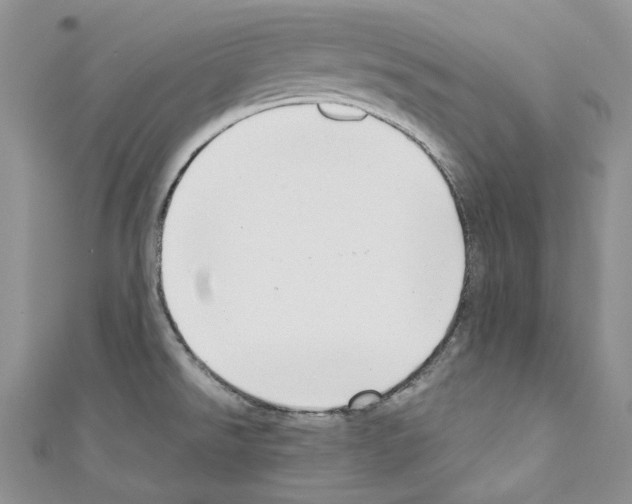 X0000110771526200907271154