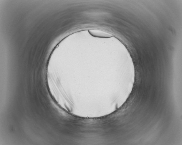 X0000110771527200907271154