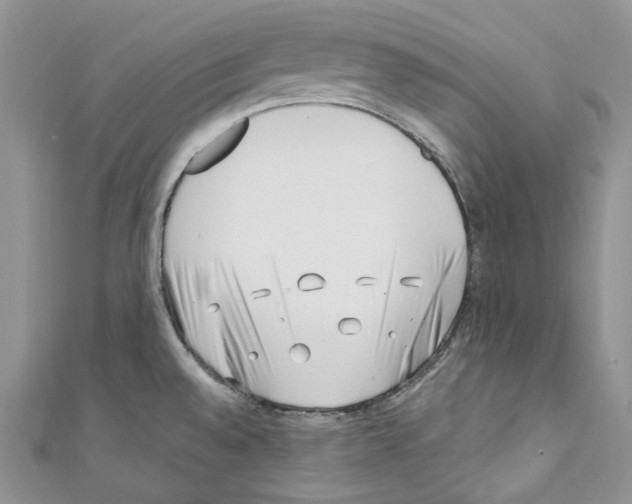 X0000110771528200907271154