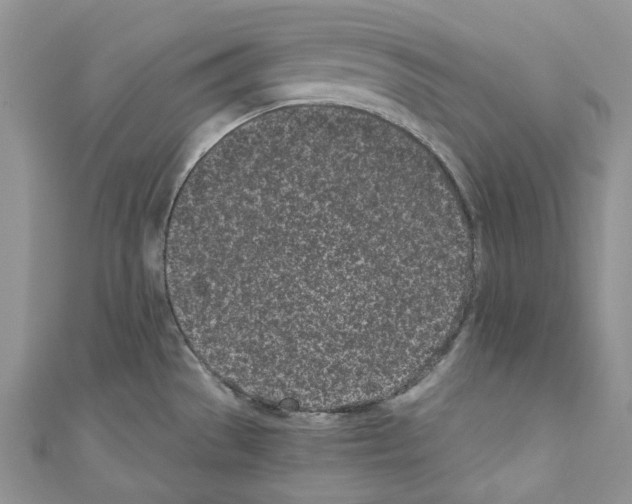 X0000110771529200907271154