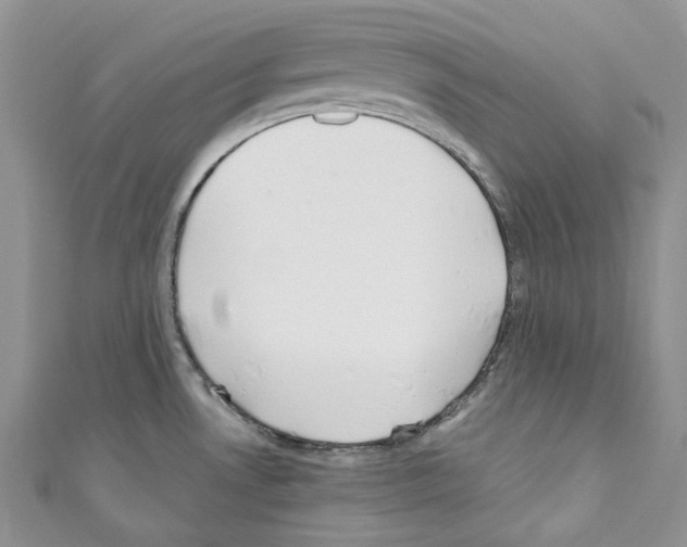 X0000110771530200907271154