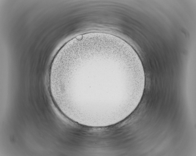 X0000110771531200907271154