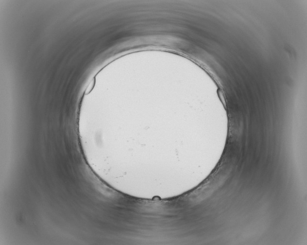 X0000110771532200907271154