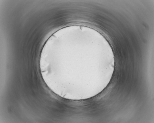 X0000110771533200907271154