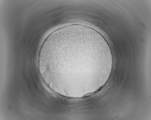 X0000110771535200907271154