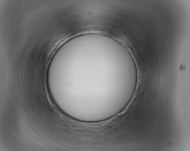 X0000110860001200906180956