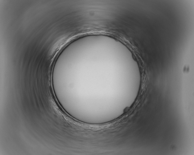 X0000110860002200906180956