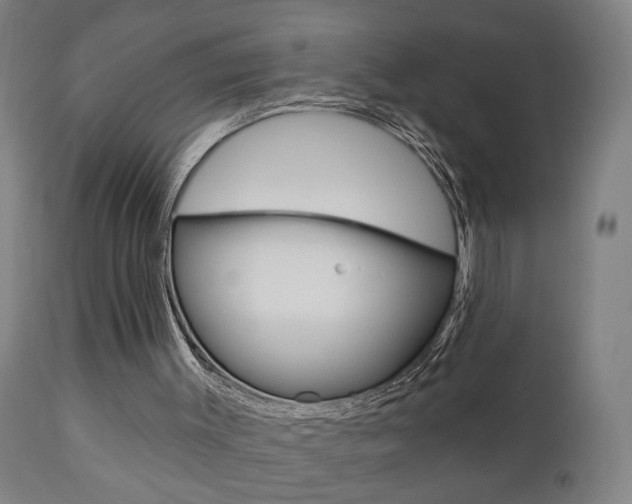 X0000110860003200906180956
