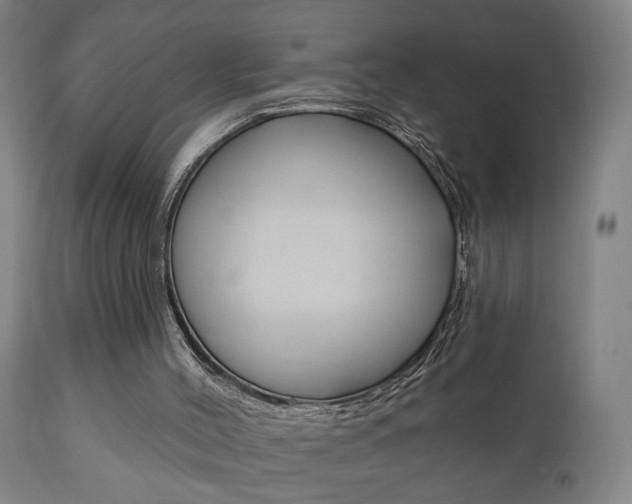 X0000110860004200906180956