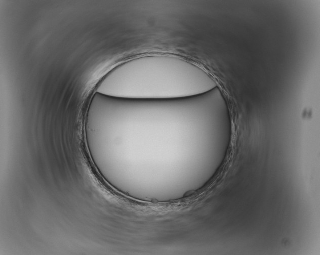 X0000110860005200906180956