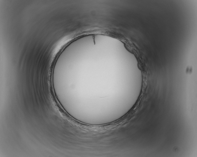X0000110860006200906180956
