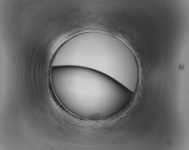 X0000110860007200906180956