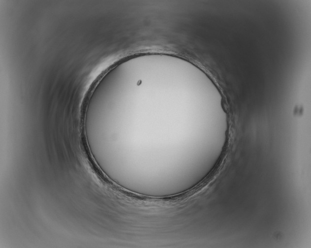 X0000110860008200906180956