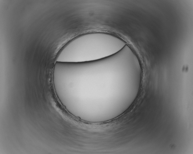 X0000110860010200906180956