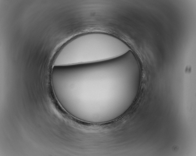 X0000110860012200906180956