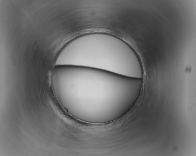 X0000110860013200906180956