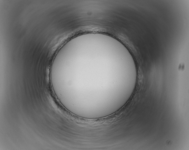 X0000110860014200906180956