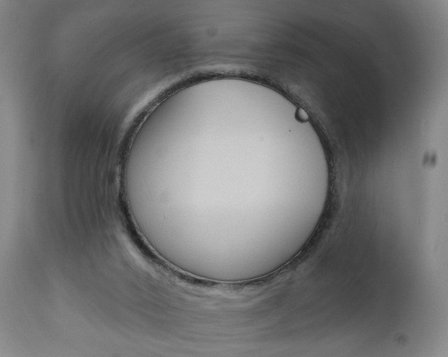 X0000110860016200906180956