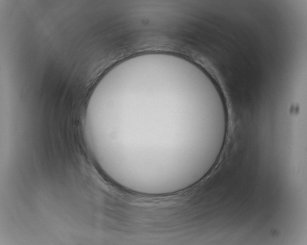 X0000110860017200906180956