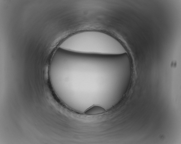 X0000110860019200906180956