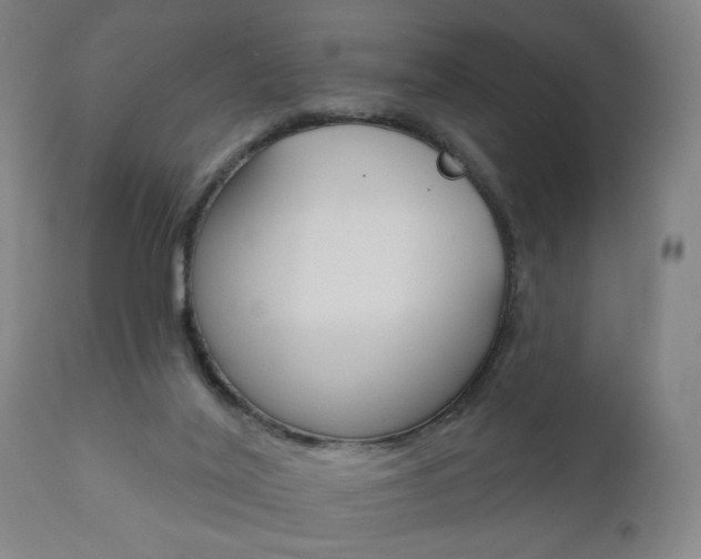 X0000110860020200906180956