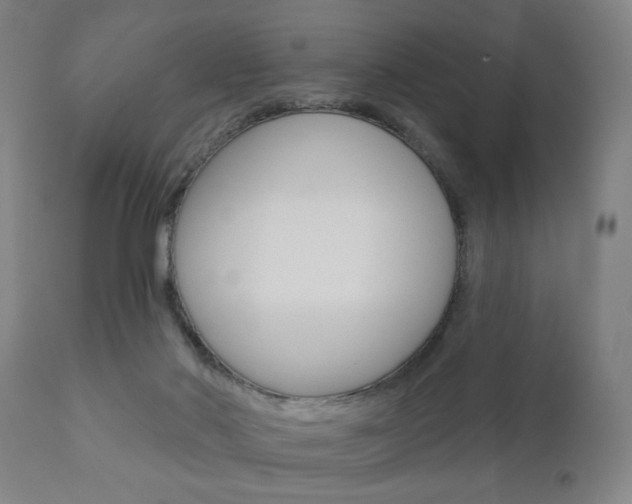 X0000110860022200906180956