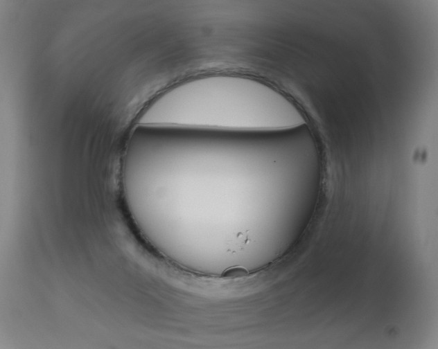 X0000110860023200906180956