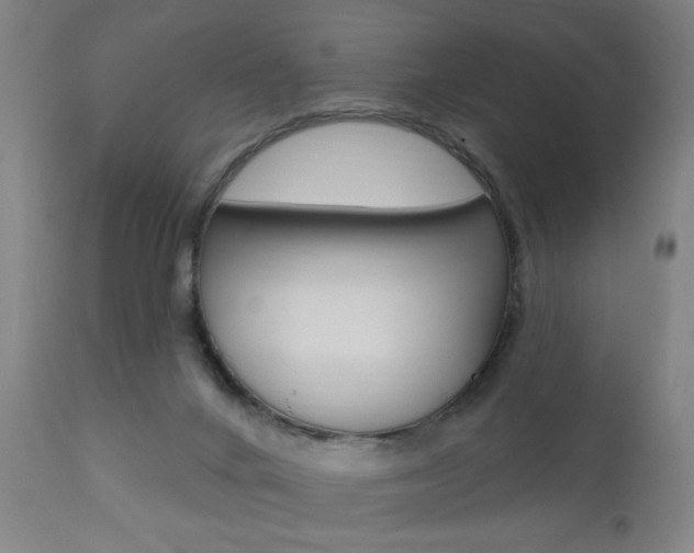 X0000110860024200906180956