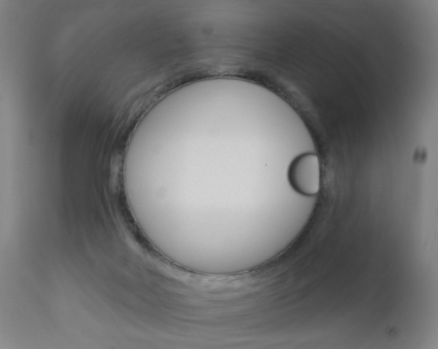 X0000110860026200906180956