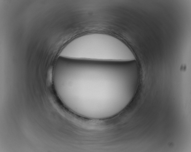 X0000110860028200906180956