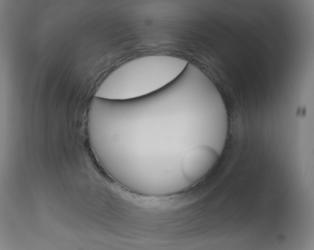 X0000110860030200906180956